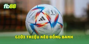 Giới thiệu kèo đồng banh