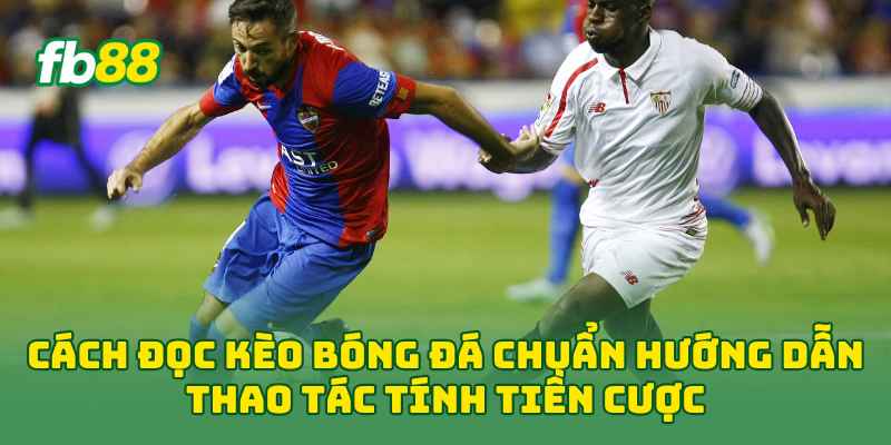 Cách Đọc Kèo Bóng Đá Chuẩn hướng dẫn thao tác tính tiền cược