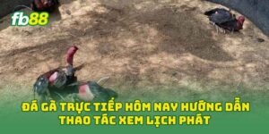 Đá Gà Trực Tiếp Hôm Nay hướng dẫn thao tác xem lịch phát